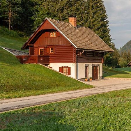 Chalet Ajda Bohinj Exteriér fotografie